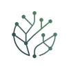 Connect Your Way Logo