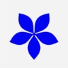 Backdoor Studio Logo