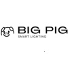 Big Pig Smart Lighting Logo