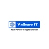 WELLCARE IT Logo