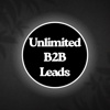 B2B Data Solutions Logo