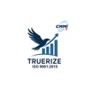 Truerize IQ Strategic Solutions Pvt Ltd Logo
