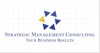 S. M. Consulting Ltd. Logo