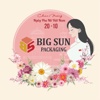 CÔNG TY TNHH DỊCH VỤ & SẢN XUẤT BAO BÌ BIG SUN Logo