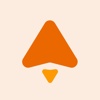 Rocket Wave Inc Logo