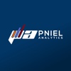 Pniel Analytics LLC Logo