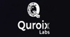 Quroix Labs Logo