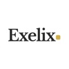 Exelix business consulting Logo