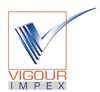Vigour  Impex Logo