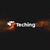 Techingsol Logo