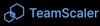 TeamScaler Logo