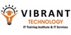 Vibrant Technnology Logo