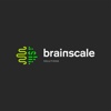 Brainscale Solutions Logo