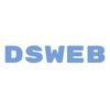 DSWEB LLC Logo
