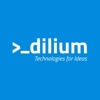 dilium srl Logo