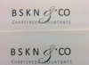 BSKN & Co Logo