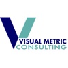 Visual Metric Consulting Logo