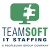 TeamSoft Logo