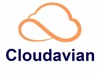 Cloudavian Logo