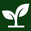 Local Seeds Marketing Co. Logo