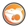 IGUANA media Logo