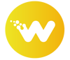 Wiser Websites Logo