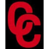 Constant Consulting Logo