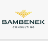 Bambenek Consulting, LTD Logo