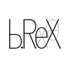 b.ReX GmbH Logo