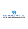 99Seo Solution World Pvt Ltd Logo