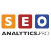 Seoanalytics.pro Logo