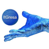 ItGresa Consulting Group, Inc. Logo