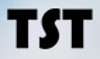 TST Advisory Logo