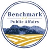 Benchmark Public Affairs Logo