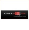 CallVoice Communication Logo