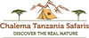 Chalema Tanzania Safaris Logo