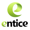 Entice Digital Marketing Logo
