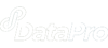 DataPro Services, Inc. Logo