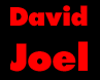 David Joel High End Chicago Photographers Logo