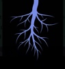 Epoch Roots Logo