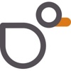 Greyduck Collective Logo