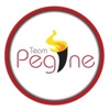 Team Pegine Inc. Logo