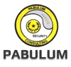PABULUM Consulting, LLC. Logo