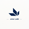 AnaiLabs Logo