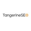 TangerineSEO Logo