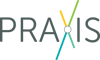 PRAXIS Strategic Consulting, LLC Logo