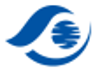 BlueStorm Digital Logo