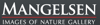 Mangelsen Images of Nature Logo