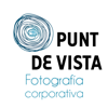 Punt de Vista Logo