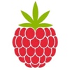 Raspberry Roots Logo